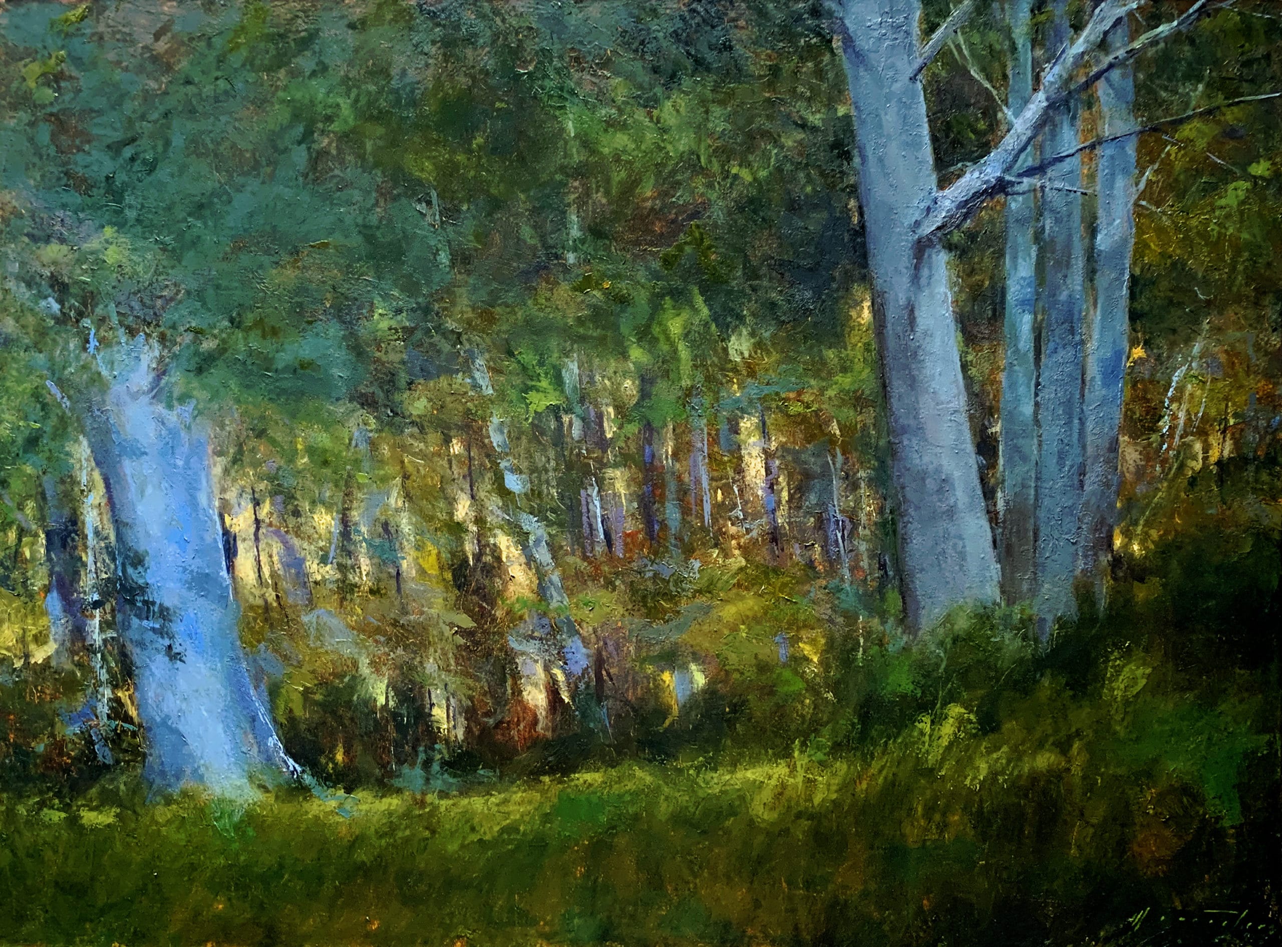 Worcester Light on Landscape