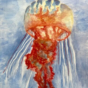 WATERCOLOR MAGIC   ...... Tues PM   4:30PM - 6:00PM  K-SU26-SHRO-1C.......		Aug 4, 11, 18, 25