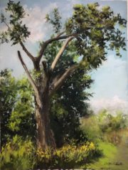 Diana Mitchell Tree